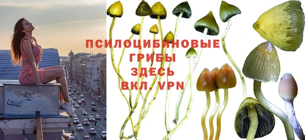 кокс Арсеньев