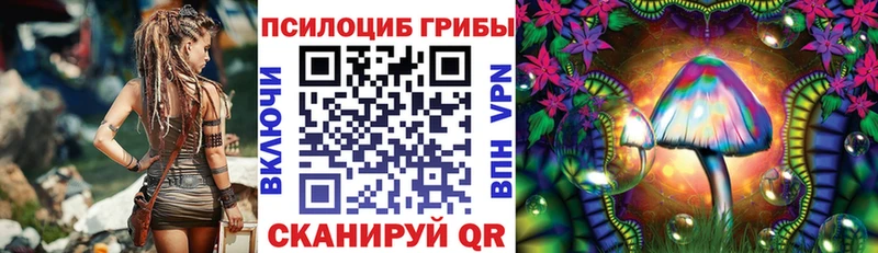 Галлюциногенные грибы мицелий  Купить  Тейково 
